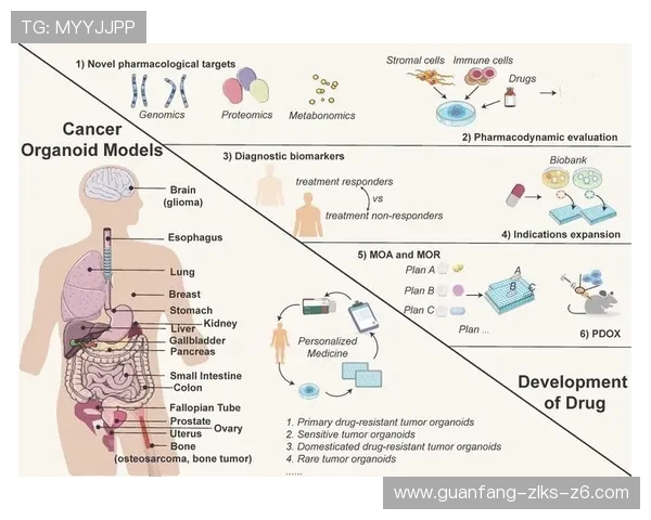 亞博体育集团娱乐平台：用户评价与行业专家对其平台安全性的深度分析