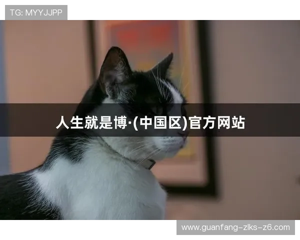 尊龙人生就是博一下：从失败中汲取力量，走向成功的关键策略