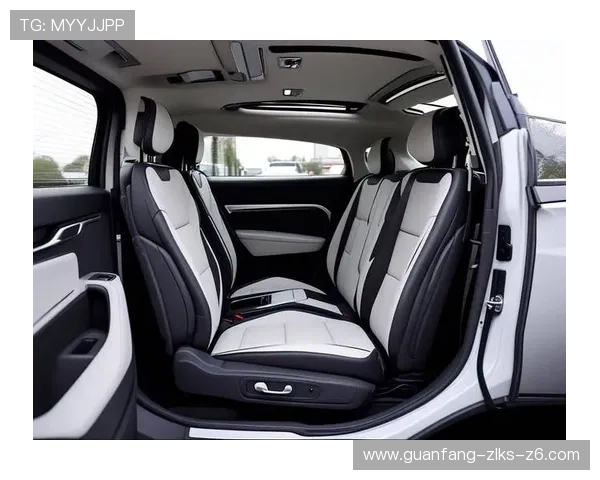 z6尊龙车型配置全面升级打造豪华舒适的驾乘空间满足高端用户的多样化需求