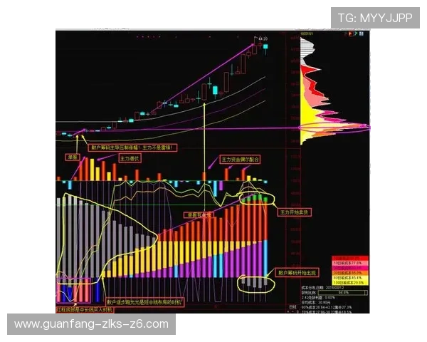 尊龙旗舰网站安全保障措施详解确保每位用户的资金与信息安全