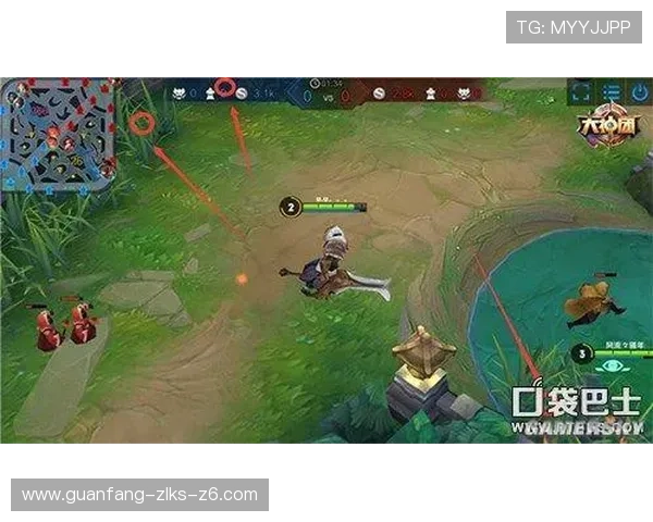 Z6备用会员功能全面解析助你在游戏中获得更多资源和便利