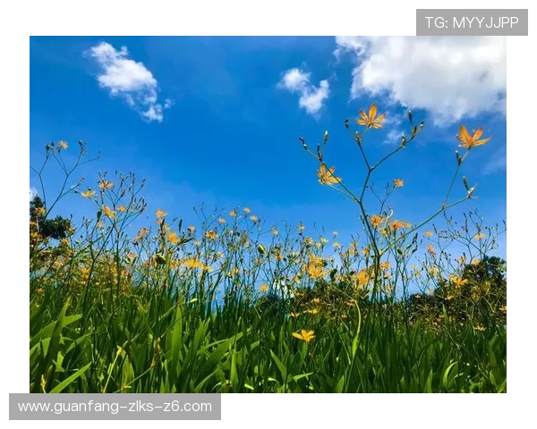 尊龙凯时人生就是博：探索游戏中的人生哲学，提升生活品质的实用建议